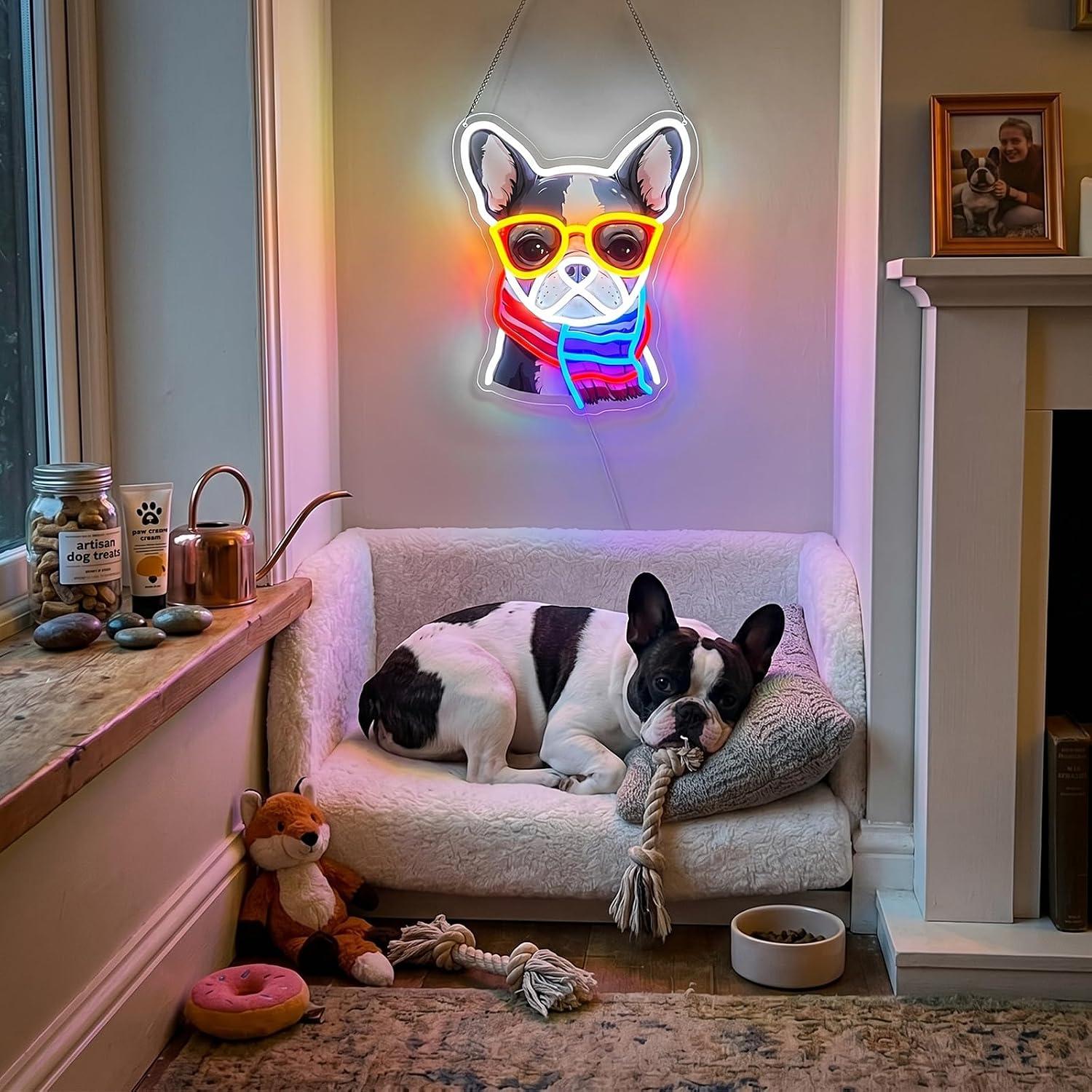 Fransız Bulldog Neon Tabela Kı - Men'S Grooming Room incelemesi ve fiyatı